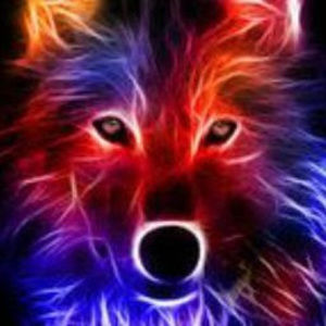 Meet your Posher, Angel